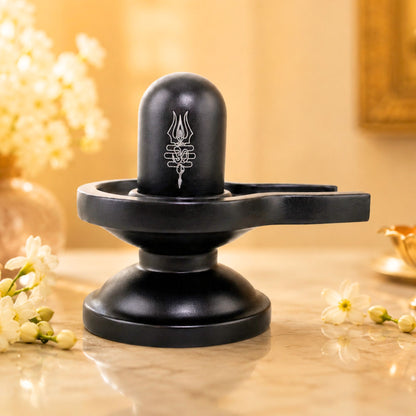 Premium Brass Shivling Idol (Black)