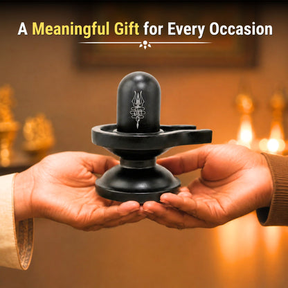 Premium Brass Shivling Idol (Black)