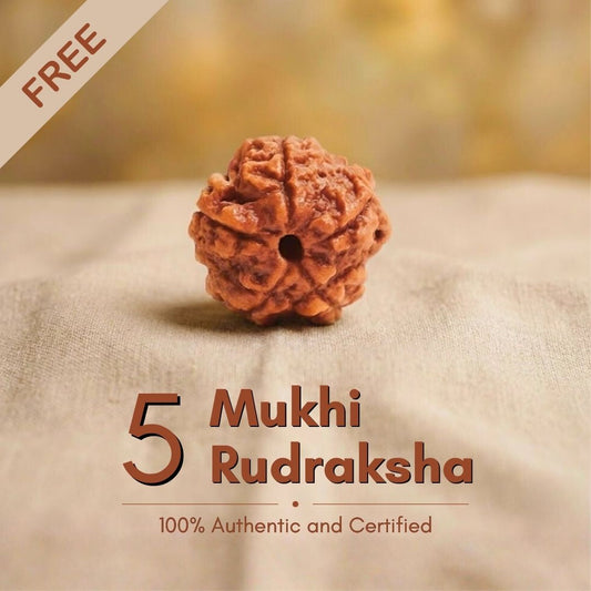 Get Absolutely Free 5 Mukhi Rudraksha