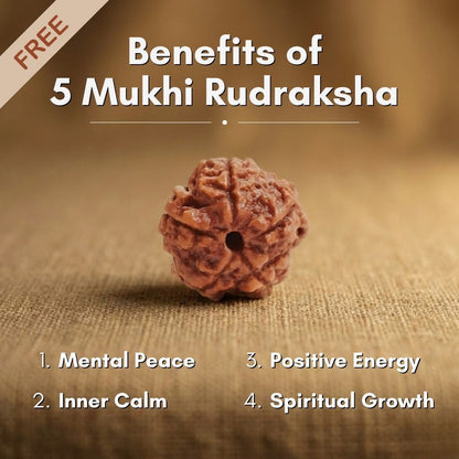 Get Absolutely Free 5 Mukhi Rudraksha
